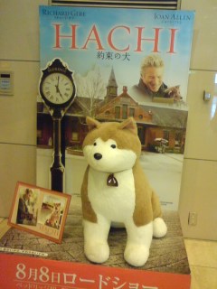 HACHIB